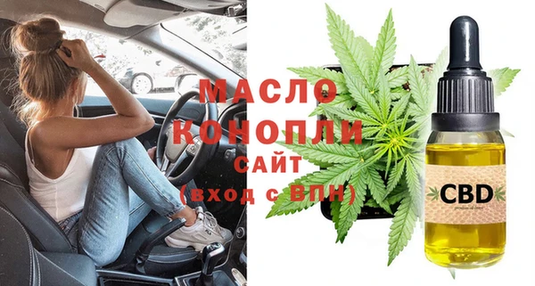 шишки Покачи