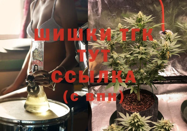 шишки Покачи