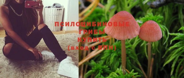 шишки Покачи