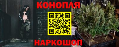 PSILOCYBIN Берёзовский