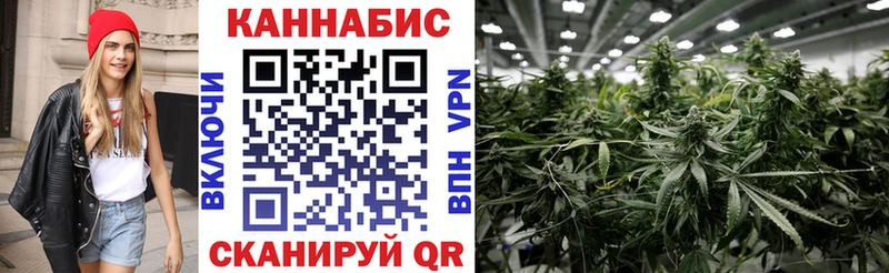 Канабис ГИДРОПОН  Краснознаменск 